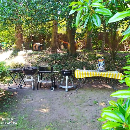 "La Selvetta" Bed And Breakfast Buguggiate エクステリア 写真