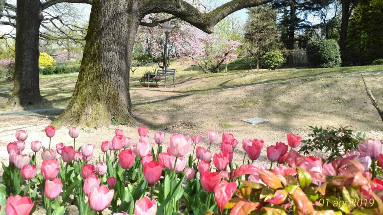 "La Selvetta" Bed And Breakfast Buguggiate エクステリア 写真