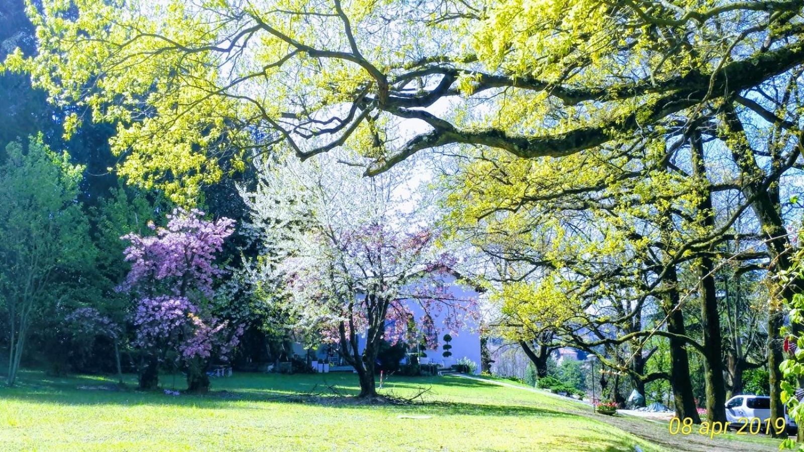 "La Selvetta" Bed And Breakfast Buguggiate エクステリア 写真