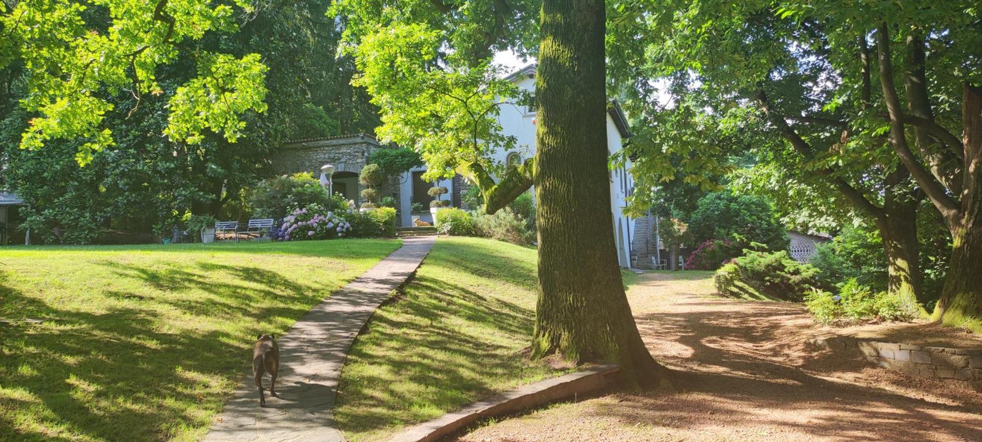 "La Selvetta" Bed And Breakfast Buguggiate エクステリア 写真