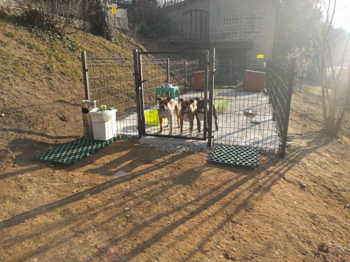 "La Selvetta" Bed And Breakfast Buguggiate エクステリア 写真