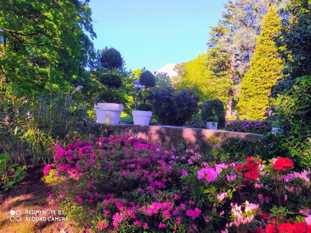 "La Selvetta" Bed And Breakfast Buguggiate エクステリア 写真
