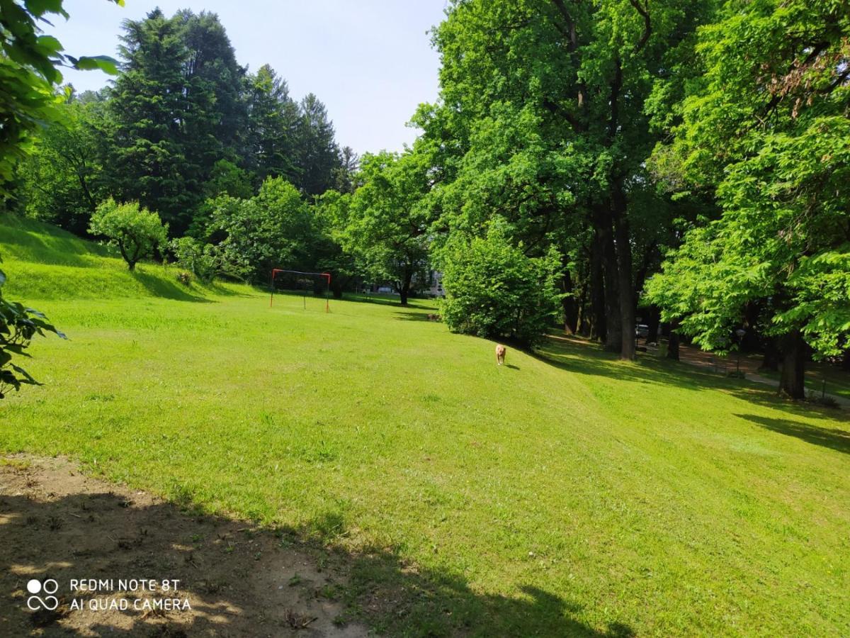 "La Selvetta" Bed And Breakfast Buguggiate エクステリア 写真