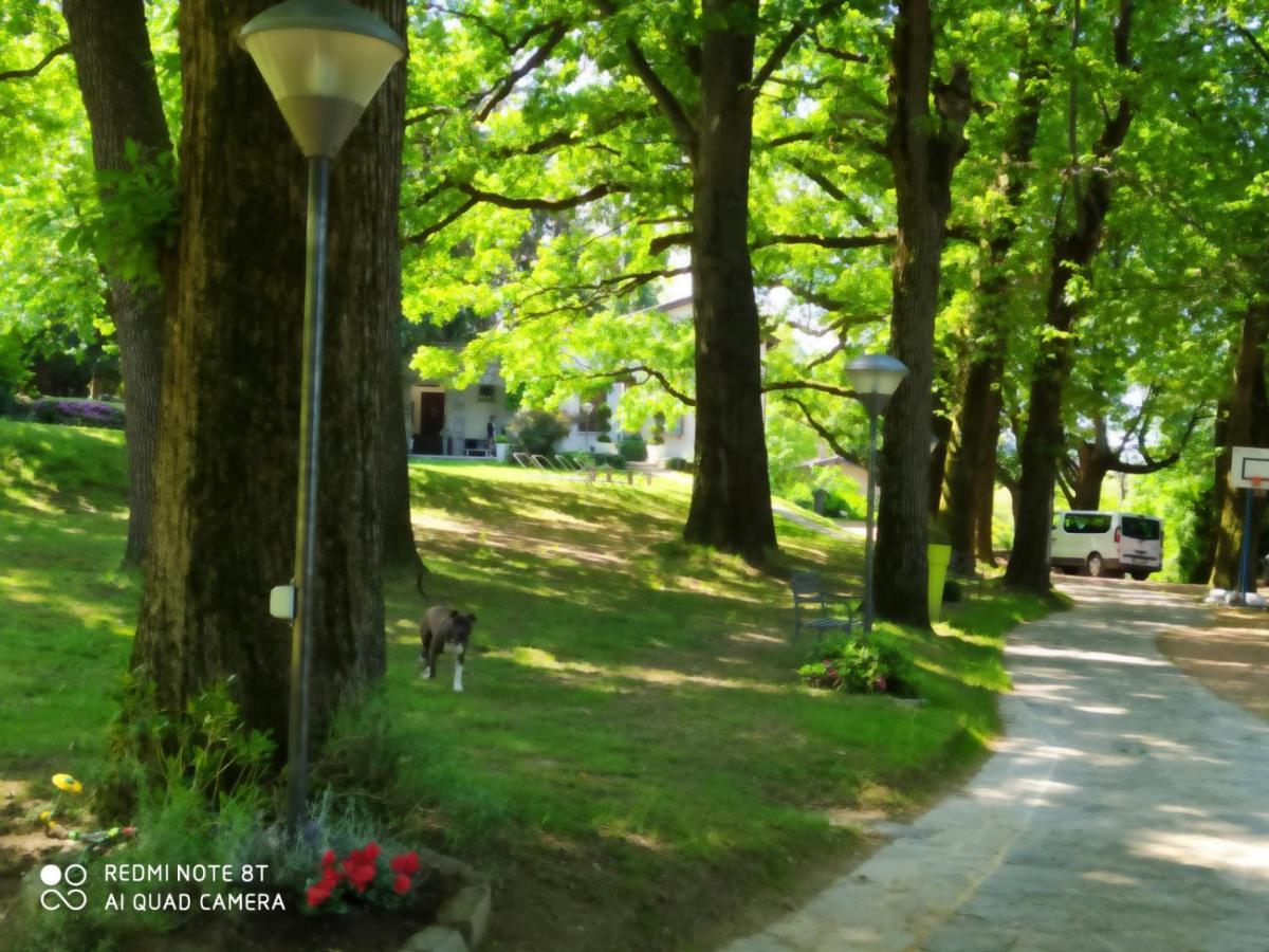 "La Selvetta" Bed And Breakfast Buguggiate エクステリア 写真